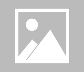 逾踞小说-开云官网在线